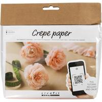 Creativ Company Mini hobbyset crepepapier anjers - thumbnail