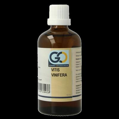 Vitis vinifera bio 100 Milliliter Vitis vinifera bio 100 Milliliter