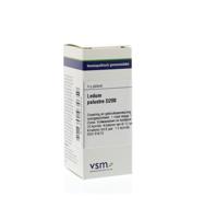 Ledum palustre D200 - thumbnail