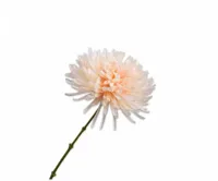 Silk-ka kunsttak chrysant 62cm creme - thumbnail
