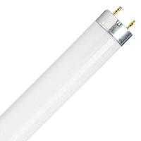 OSRAM HOMELIGHTING TL-lamp Energielabel: G (A - G) G13 30 W Koudwit 840 Buis (Ø x l) 26 mm x 908.8 mm 1 stuk(s) - thumbnail