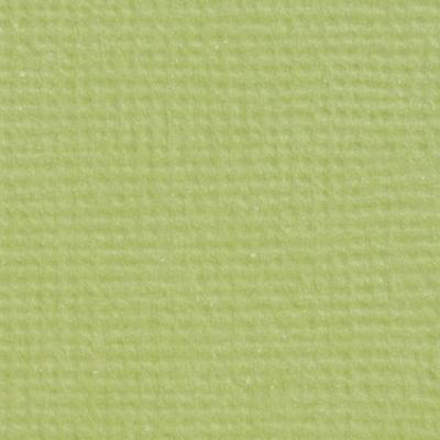 Craft Perfect By Tonic Studios Craft perfect • klassieke kaart a4 10pcs pistachio green