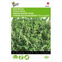 Buzzy® Wintertijm Zaden - thumbnail