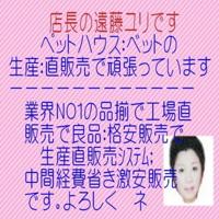 Royal Canin Savour Exigent kattenvoer 4 kg - thumbnail