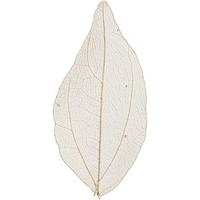 Creativ Company Skeleton leaves naturel gedroogde bladeren, 20st. - thumbnail