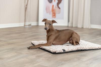 Trixie ligmat calida met warmtereflecterende vulling wit-bruin