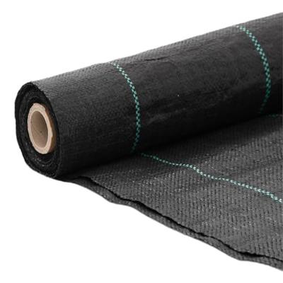 Worteldoek 1x150 m polypropeen zwart - thumbnail