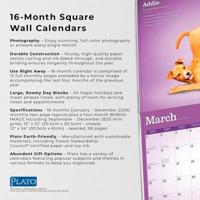 Yoga Puppies Kalender 2026 - thumbnail