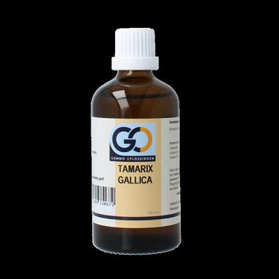 Tamarix gallica bio 100 Milliliter