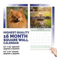 Pomeranian Kalender 2026 - thumbnail