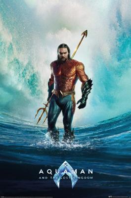 Poster Aquaman and The Lost Kingdom 61x91,5cm Poster Aquaman and The Lost Kingdom 61x91,5cm