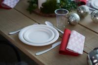 Duni Wegwerpborden 18 cm 10 Stuks Wit - thumbnail