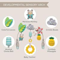 Tropical orchestra arch - thumbnail