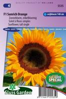 Zonnebloem enkelbloemig bloemzaden - F1 Sunrich Orange - thumbnail