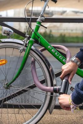 Abus goose lock 4204k/110 rosemauve