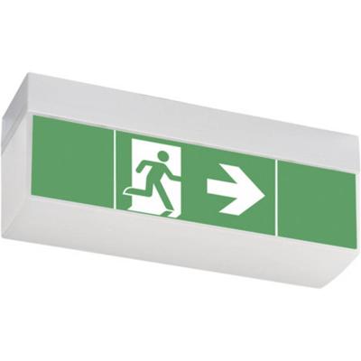 CEAG 40071354776 LED-vluchtwegverlichting Plafondmontage, Kettingmontage, Wanduitbouwmontage Links, Rechts, Naar beneden