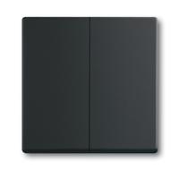 Busch-Jaeger Afdekking Serietoets Diepzwart (RAL 9005), Zwart 2CKA001751A3038 - thumbnail
