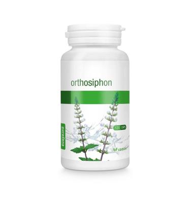 Purasana Orthosiphon vegan bio (120 vega caps) Purasana Orthosiphon vegan bio (120 vega caps)