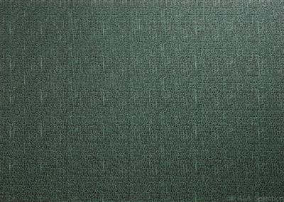 ASA Selection placemat 33 x 46cm - groen