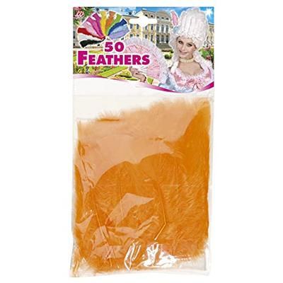 Zakje met 50 veertjes oranje