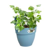 Elho Vibia Campana Small Hangpot blauw - thumbnail