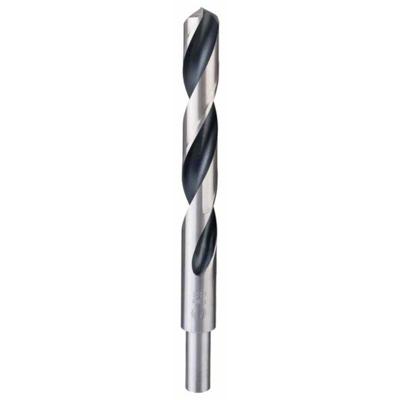 Bosch Accessories 2608577312 2608577312 HSS Metaal-spiraalboor 17 mm Gezamenlijke lengte 184 mm DIN 338 Cilinderschacht 1 stuk(s)