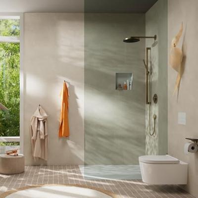 Hansgrohe Pulsify s staafhanddouche 100 1jet ecosmart brushed bronze 24125140 - thumbnail