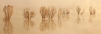 Schilderij - Bomen in een meer, beige, panorama, 2 maten - thumbnail