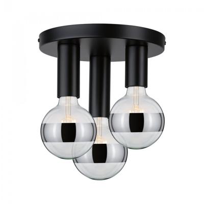 Paulmann 79761 Plafondlamp E27 Zwart
