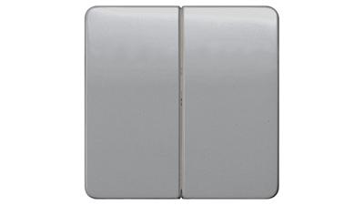 Siemens 5TG7925 2-voudig Zilver Schakelmateriaal 1 stuk(s)