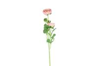 Decostar zijdebloem Ranunculus 53 cm roze - thumbnail