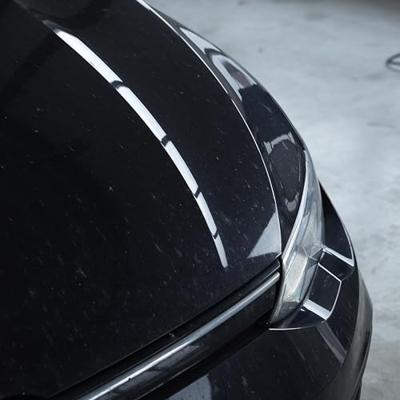 Liqui Moly Insectenverwijderaar 500 ml 1543