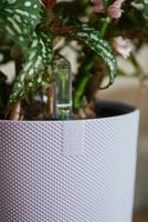 Bloempot Elho Jazz Wit Lila Plastic Cirkelvormig 3 Onderdelen - thumbnail