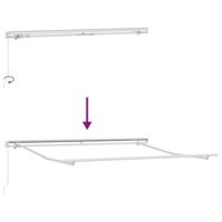 VidaXL Luifel handmatig uittrekbaar 300x250 cm bruin - thumbnail