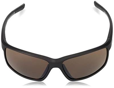 Alpina defey - sports glasses