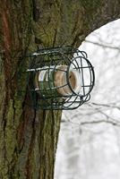 Selectieve pindakaashouder - Best for birds - thumbnail