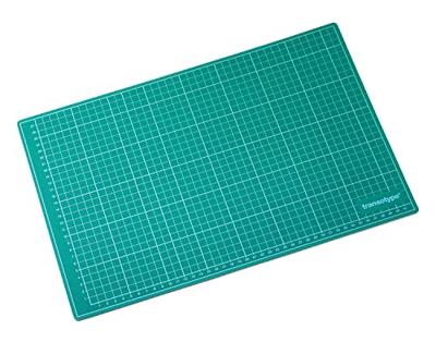 Transotype 17504 Snijmat