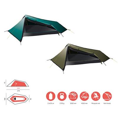 Grand Canyon RICHMOND 1 Blue Grass tent