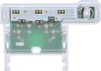 Merten MEG3901-8006 LED-gloeilamp Accessoire AquaStar Rood 1 stuk(s) - thumbnail