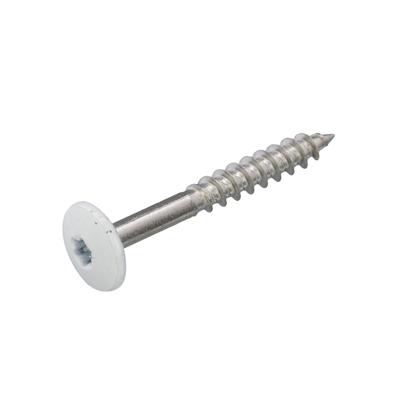 Dak&Gevel Kleurkopschroef Rvs-A2 Wit Ral9010 4.8X38 | 50 stuks - 6304.30.37524