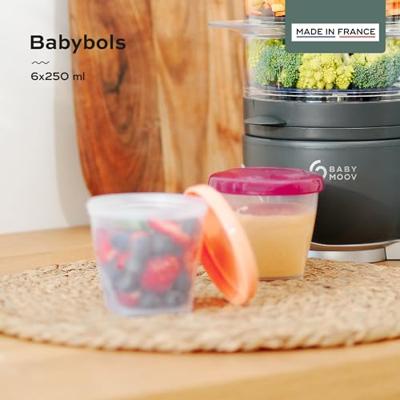 Set van 6 hermetisch afsluitbare bakjes 250 ml BABYMOOV Babydol set van 6 - thumbnail