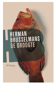De droogte - Herman Brusselmans - ebook
