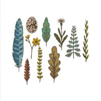 Sizzix • tim holtz thinlits die set funky nature 10pcs - thumbnail