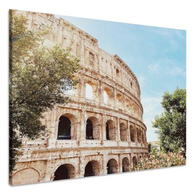 Schilderij - Colosseum Rome, 3 maten, premium print