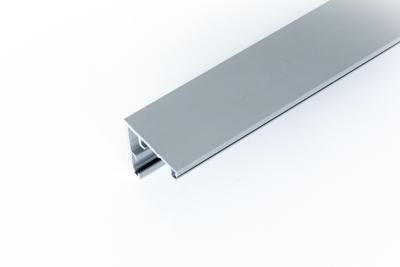 XP-100KG SMAL MUURPROFIEL L=6000MM-F1