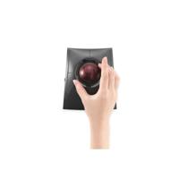 Kensington SlimBlade Pro Trackball, zwart - thumbnail