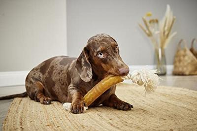 WOLTERS Honden apporteerspeelgoed Pure Nature Flosser, bruin