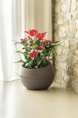 Bama sfera bloempot 23l 40.5x32 cm taupe