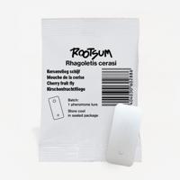 FEROMOONSCHIJF KERSENVLIEG - thumbnail