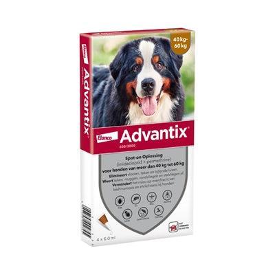 Advantix vlooien- en tekenpipet voor honden 600/3000 (40 tot 60 kg) 4 pipetten